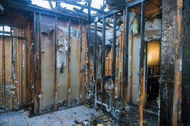 Professional Odor Removal technician working in Trenton, OH