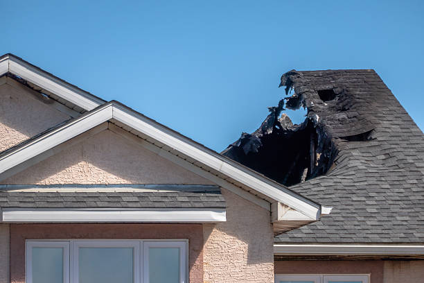 Top rated local Odor Removal specialists in Trenton, OH